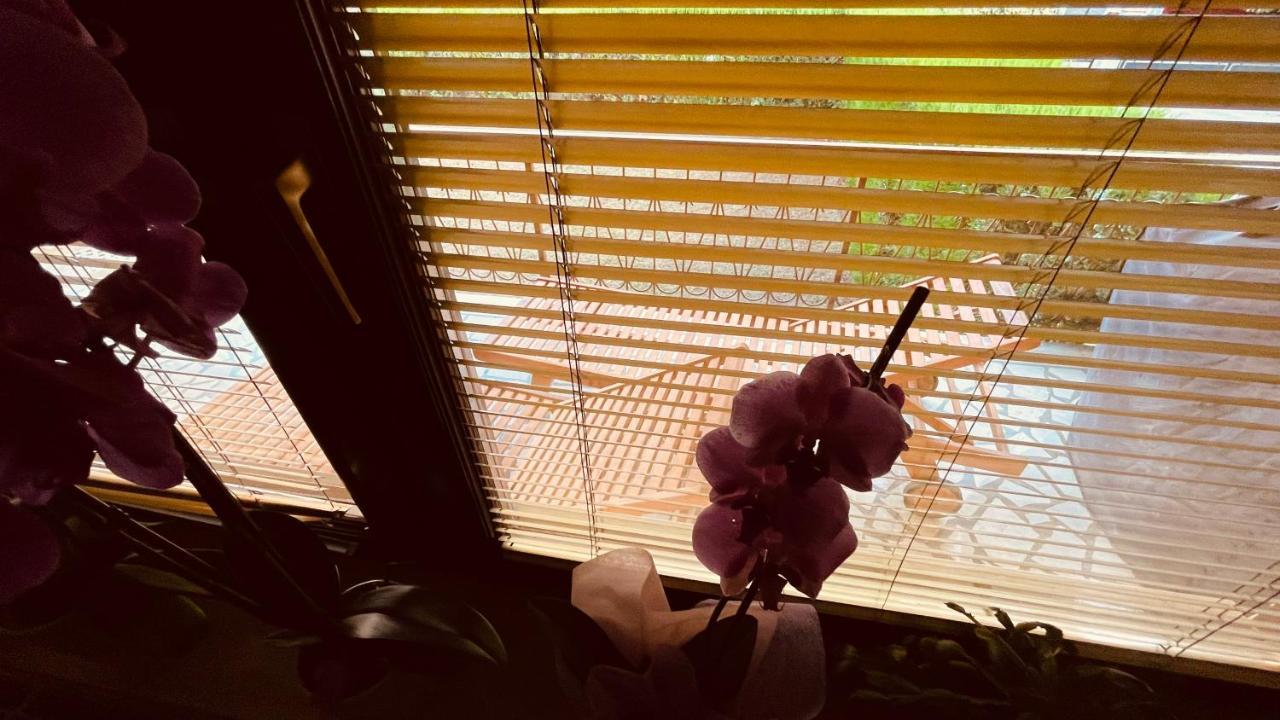 The Secret Orchid Apartment Ровин Екстериор снимка
