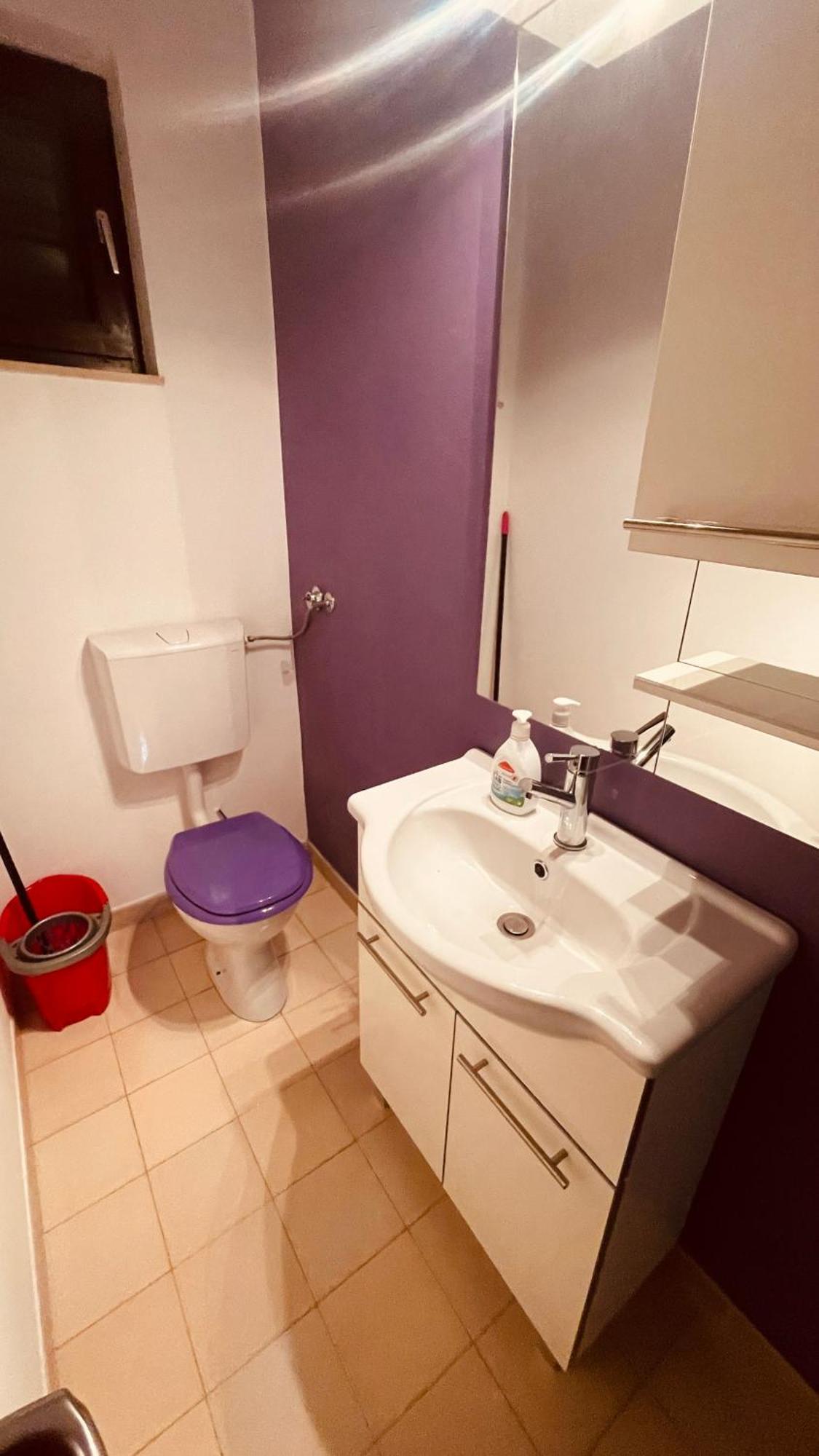 The Secret Orchid Apartment Ровин Екстериор снимка